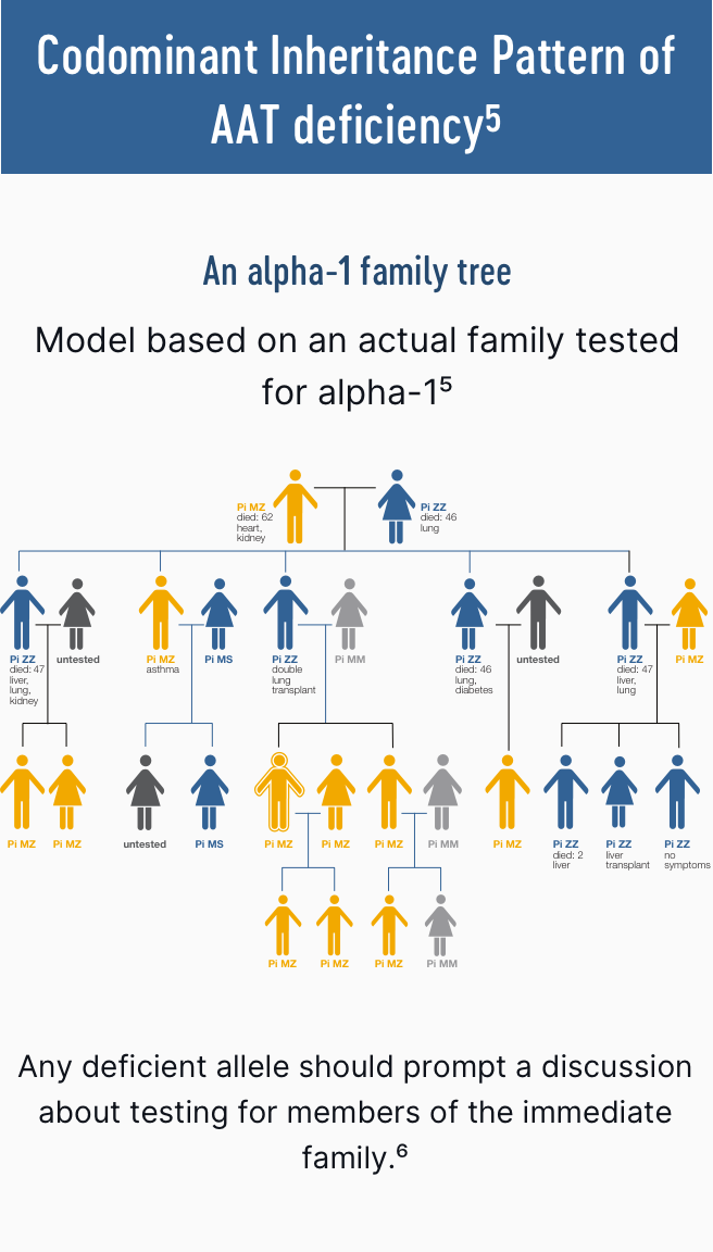 Alpha 1 antitrypsin deficiency inheritance family tree based on an actual family.